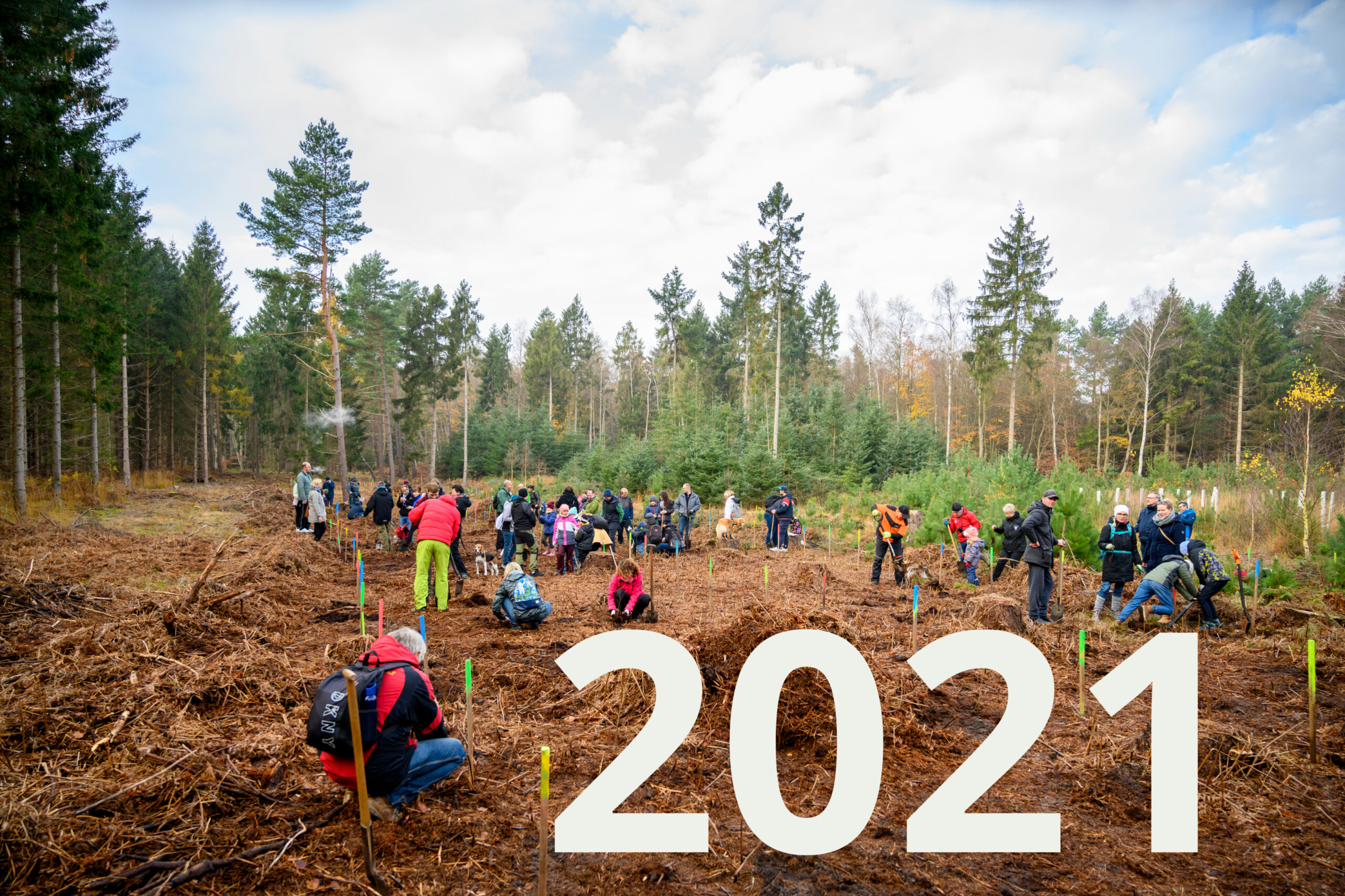 13.11.2021 – Rostocker Heide