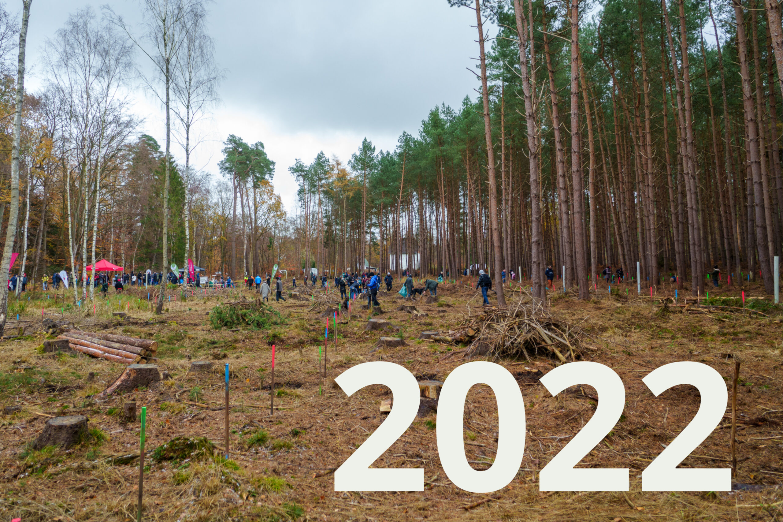 19.11.2022 – Rostocker Heide