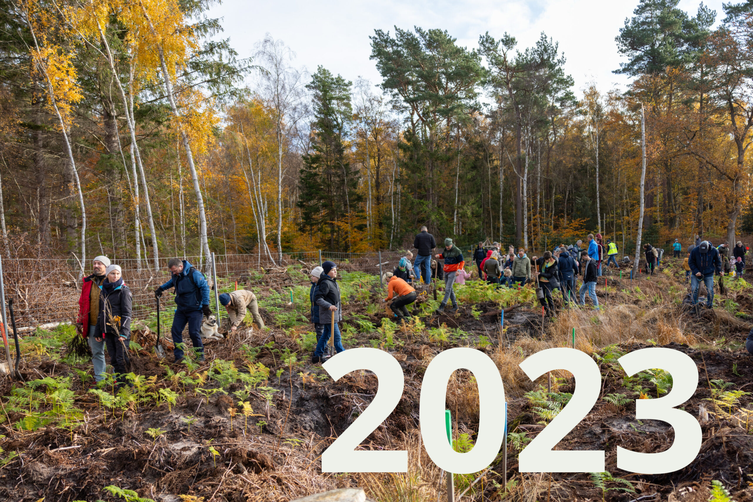 11.11.2023 – Rostocker Heide