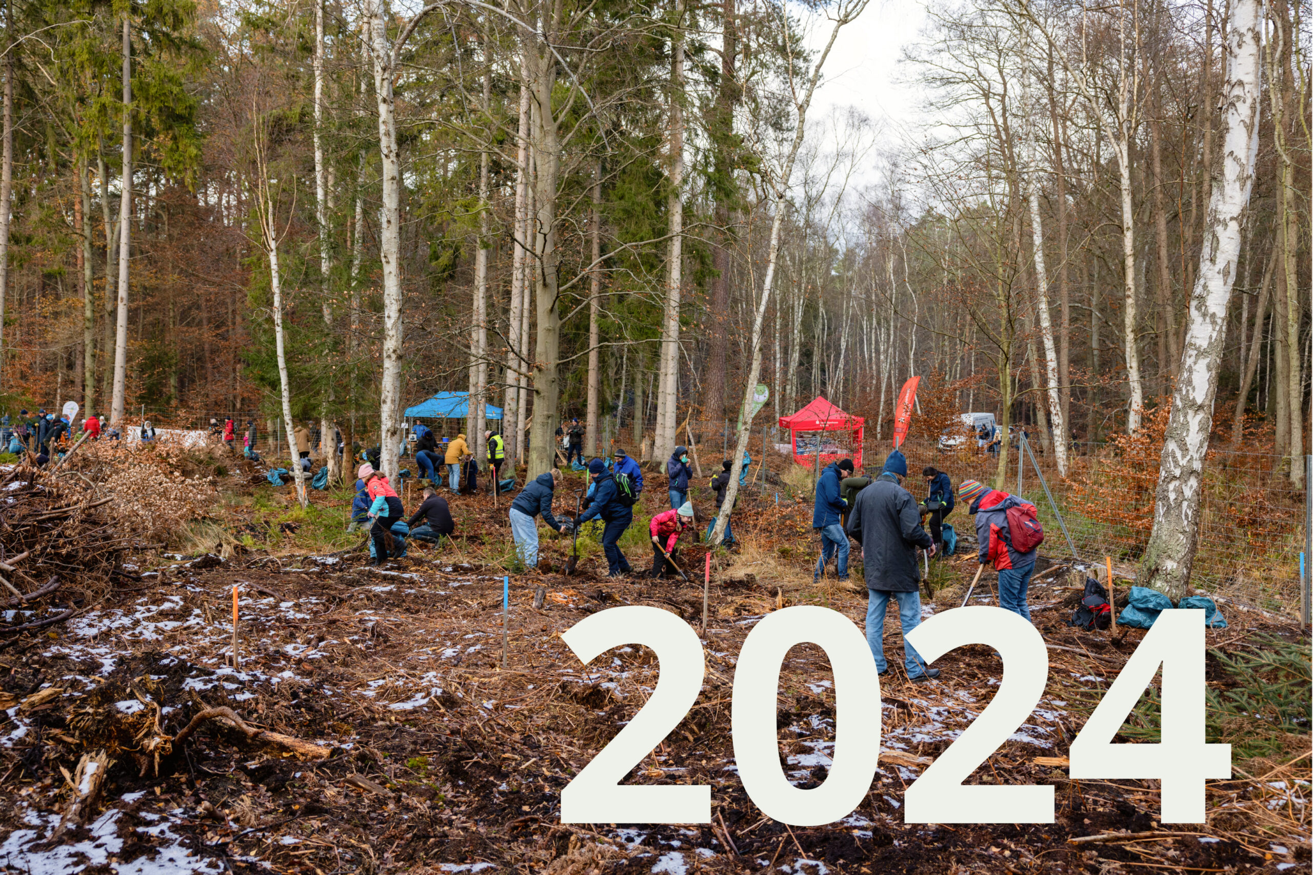 23.11.2024 – Rostocker Heide