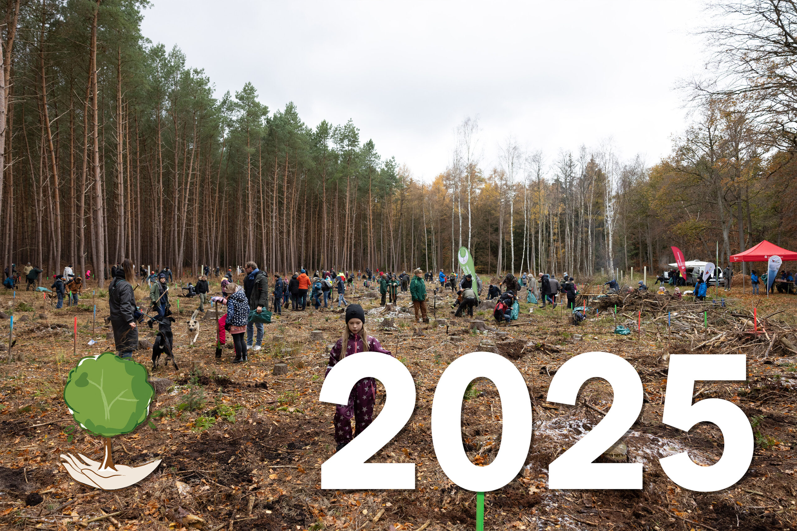 22. November 2025 – Rostocker Heide